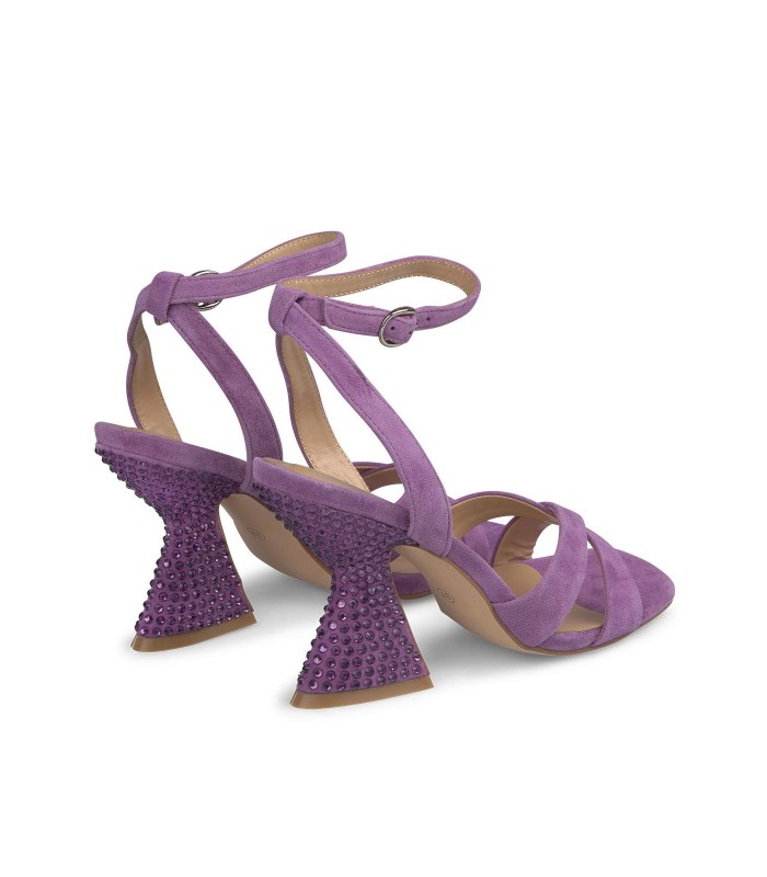 basqueland violet 2