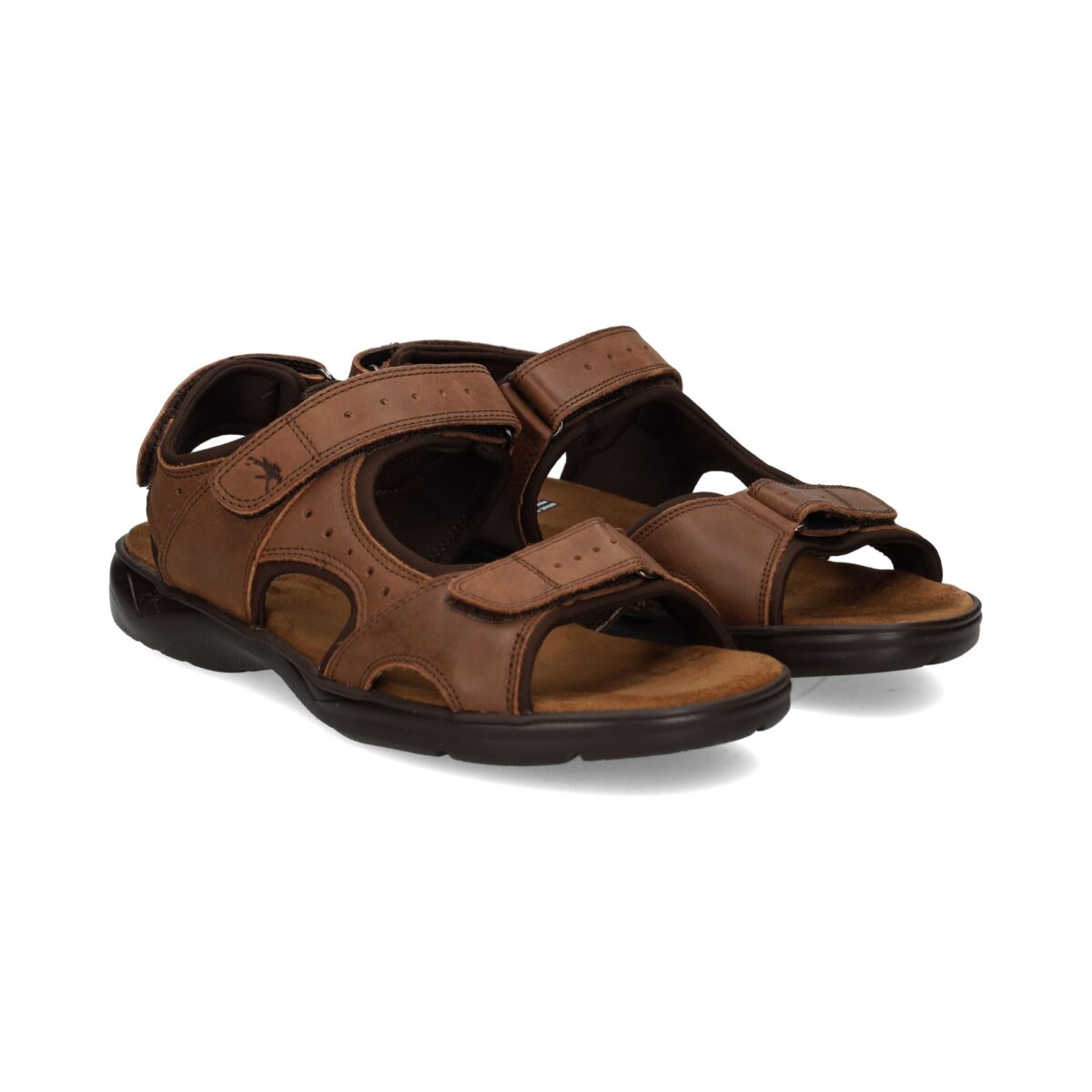 fluchos f1201 cafecom1