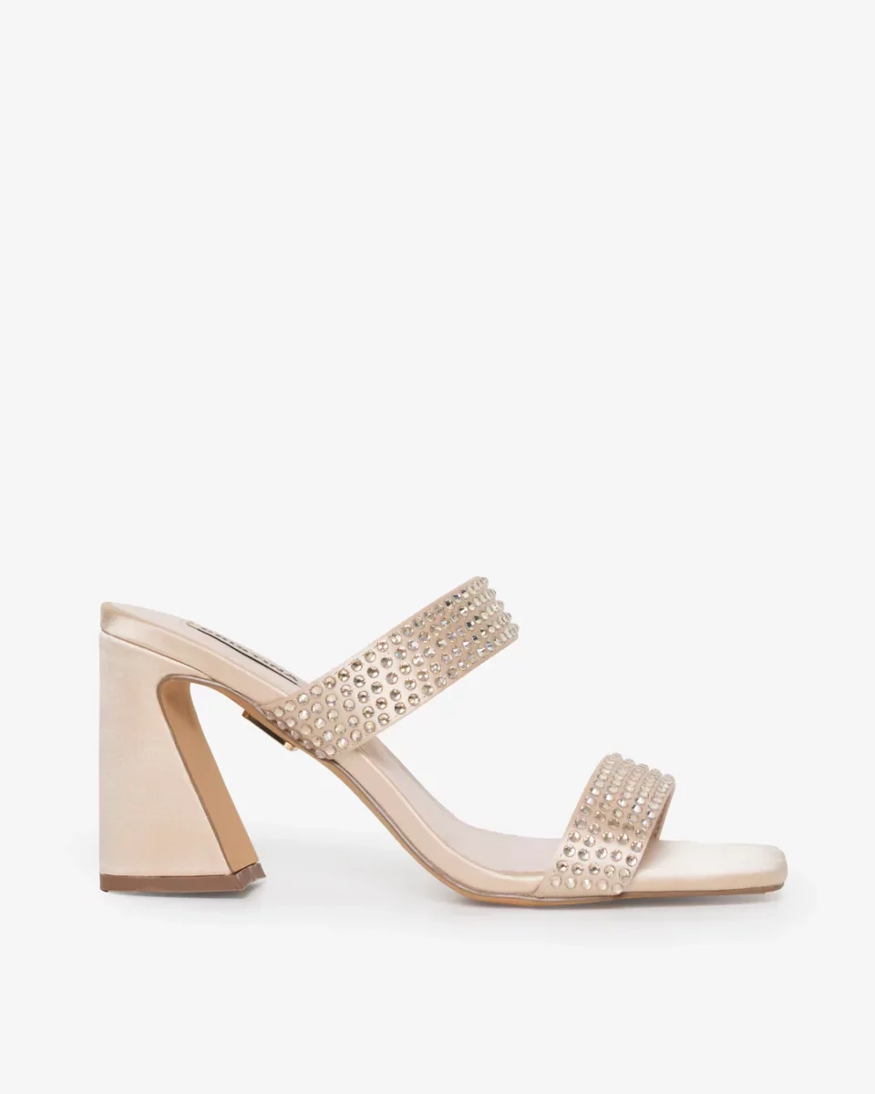 CF SS251464
