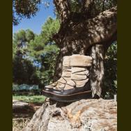 26a91b8692d440c599b9111508db1fae