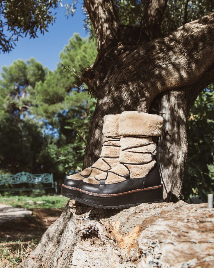 26a91b8692d440c599b9111508db1fae 26a91b8692d440c599b9111508db1fae