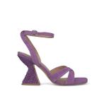 basqueland violet
